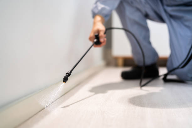 Professional exterminator conducting IPM assessment in Bethel